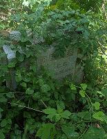 Abandoned family cemetery plot in Texas hidden by overgrowth