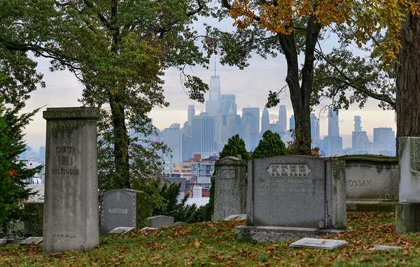 Polished granite headstones standing clearly in a cemetery during autumn